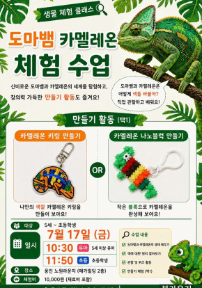 [찾아가는 체험클래스]도마뱀 카멜레온 체험 …