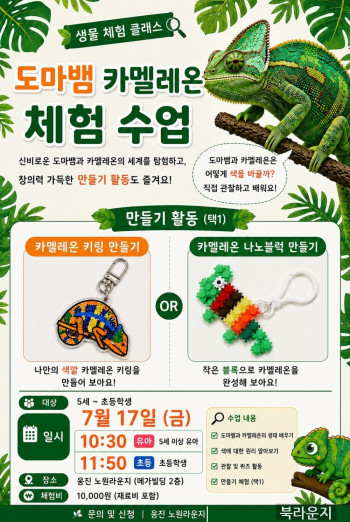 [찾아가는 체험클래스]도마뱀 카멜레온 체험 수업