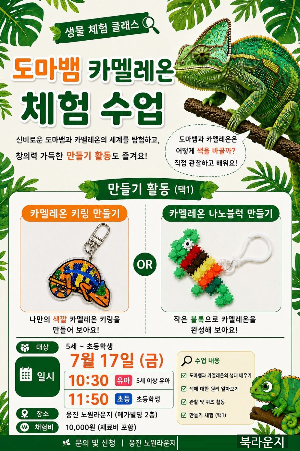 [찾아가는 체험클래스]도마뱀 카멜레온 체험 수업